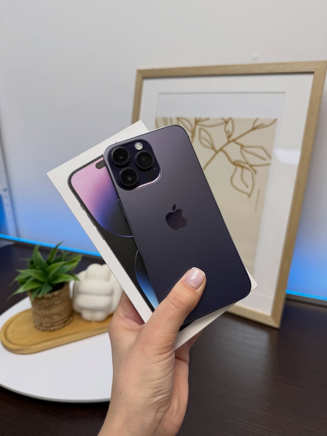iPhone 14 Pro Max